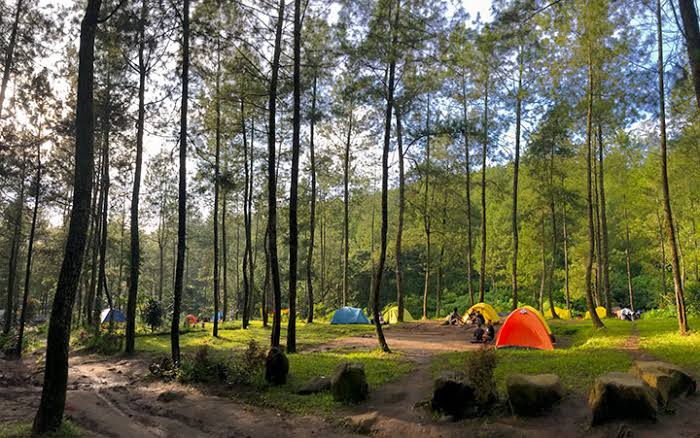 Bumi Perkemahan Bedengan
